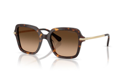 Swarovski SK 6040 (100274)
