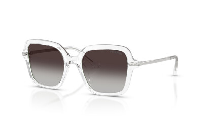 Swarovski SK 6040 (10278G)