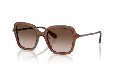Swarovski SK 6040 (106713)