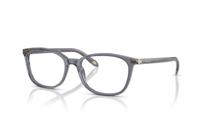Tiffany TF 2109HB (8405)