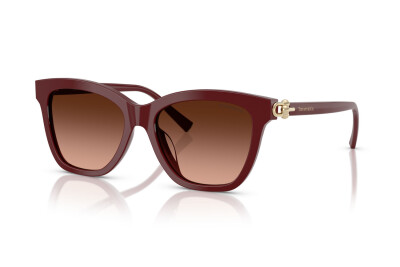 Tiffany TF 4241D (84395M)