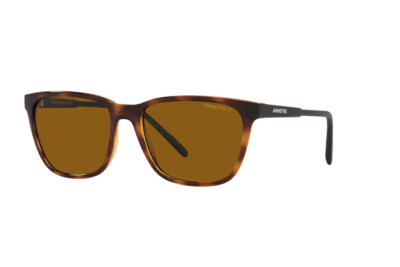 Arnette Cortex AN 4291 (277083)