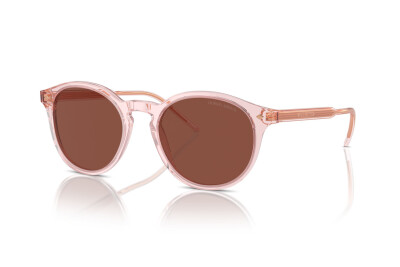 Giorgio Armani AR 8211 (6073C5)