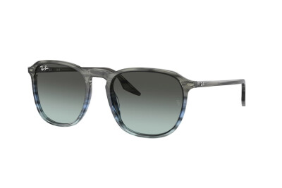 Ray-Ban RB 2203 (1391GK)