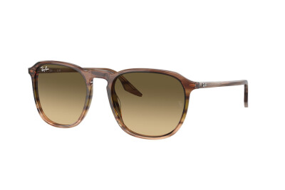 Ray-Ban RB 2203 (13920A)