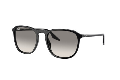 Ray-Ban RB 2203 (901/32)