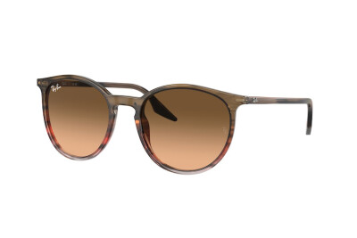 Ray-Ban RB 2204 (13953B)