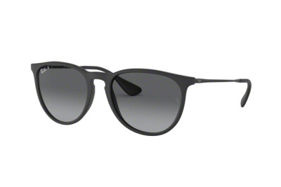 Ray-Ban Erika RB 4171 (622/T3)