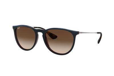 Ray-Ban Erika RB 4171 (631513)