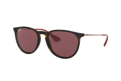 Ray-Ban Erika RB 4171 (639175)