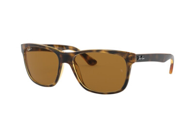 Ray-Ban RB 4181 (710/83)