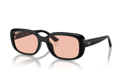 Ray-Ban RB 4421D (667784)