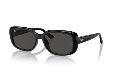 Ray-Ban RB 4421D (667787)
