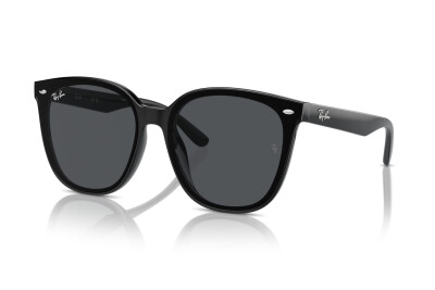 Ray-Ban RB 4423D (601/87)