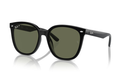 Ray-Ban RB 4423D (601/9A)