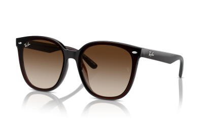 Ray-Ban RB 4423D (714/13)