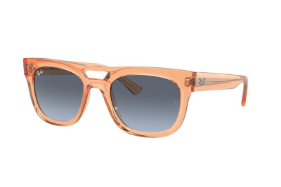 Ray-Ban Phil RB 4426 (66868F)