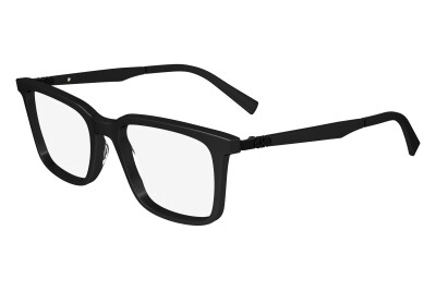 Salvatore Ferragamo SF2969 (001)