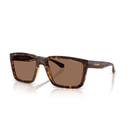 Arnette Plot Twist AN 4346 (277073)