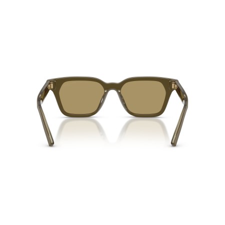 Giorgio Armani AR 8251U (6401/2)