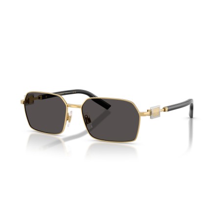 Dolce & Gabbana DG 2316 (02/87)