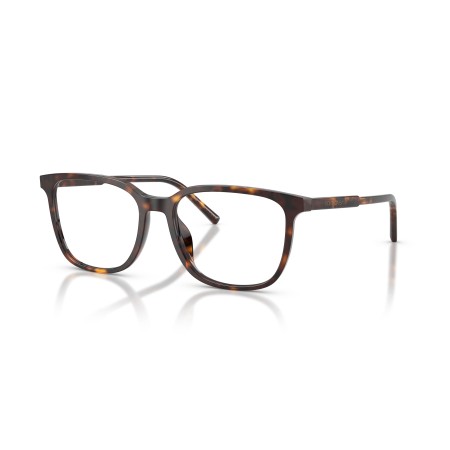 Dolce & Gabbana DG 3445 (502)