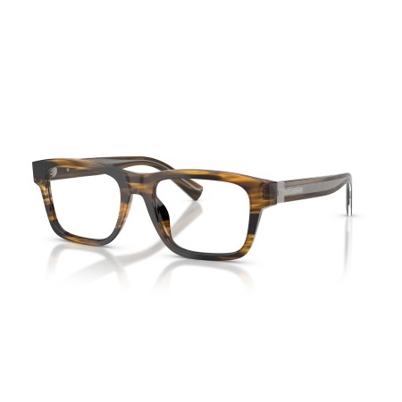 Dolce & Gabbana DG 3446 (3063)