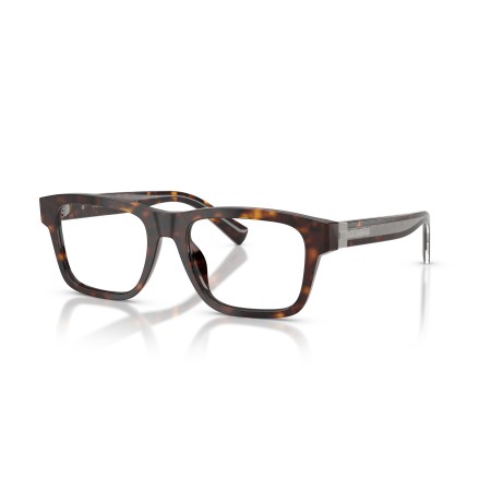 Dolce & Gabbana DG 3446 (502)
