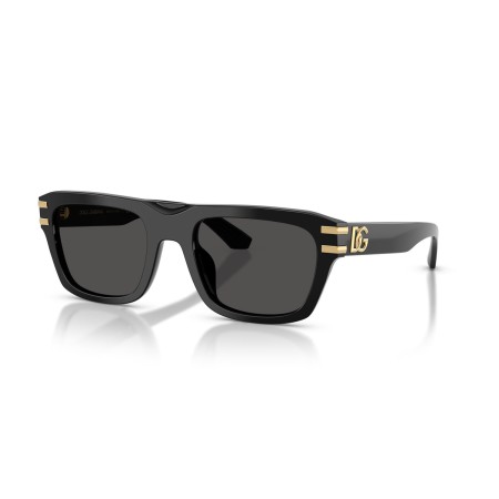 Dolce & Gabbana DG 4496 (501/87)