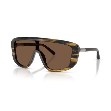 Dolce & Gabbana DG 4520 (306373)