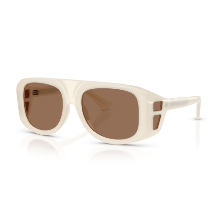 Dolce & Gabbana DG 6208 (303973)