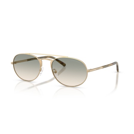 Emporio Armani EA 2171 (30022C)