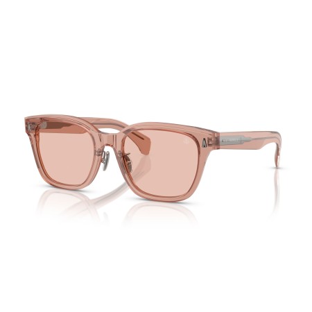 Moncler Metrope ME 6002D (300884)