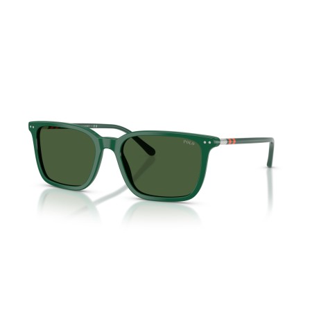 Polo PH 4226 (542171)