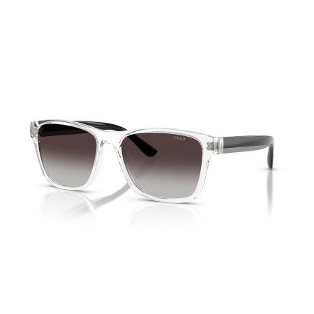 Polo PH 4229U (58698G)