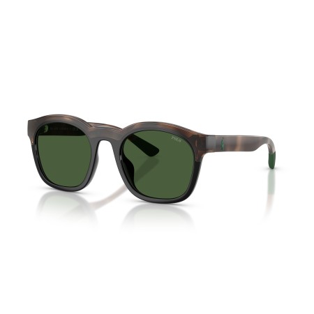 Polo PH 4243U (607071)