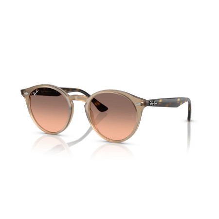 Ray-Ban RB 2180 (678846)