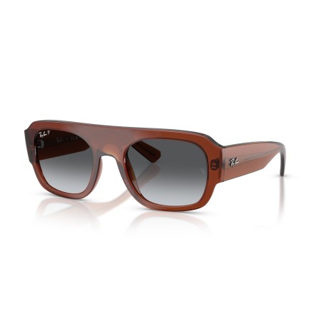 Ray-Ban RB 2218 (6678T3)