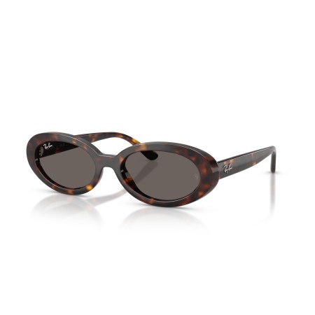 Ray-Ban RB 2223 (902/B1)
