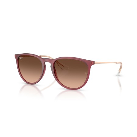 Ray-Ban Erika RB 4171 (6815A5)