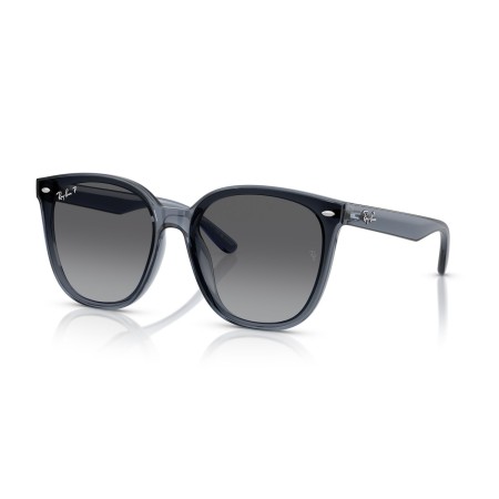 Ray-Ban RB 4423D (6592T3)