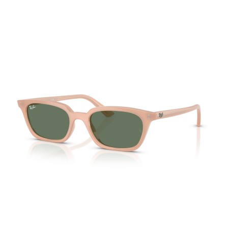 Ray-Ban Zaya RB 4456 (681182)
