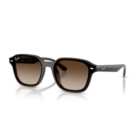 Ray-Ban RB 4458D (714/13)
