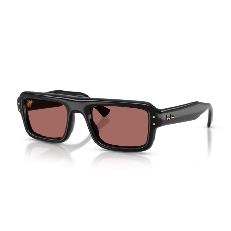 Ray-Ban Flacko Puffer RB 4954 (601/69)