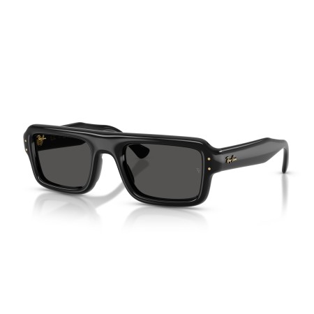 Ray-Ban Flacko Puffer RB 4954 (601/87)