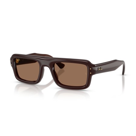 Ray-Ban Flacko Puffer RB 4954 (689673)