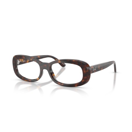 Ray-Ban RX 2221V (2012) - RB 2221V 2012