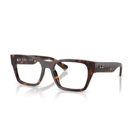 Ray-Ban RX 5448 (2012) - RB 5448 2012