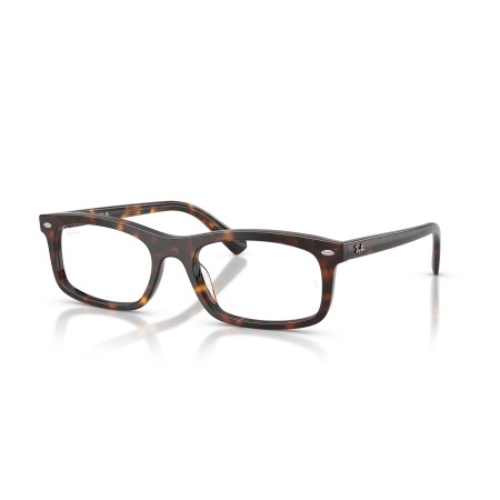 Ray-Ban RX 5450 (2012) - RB 5450 2012