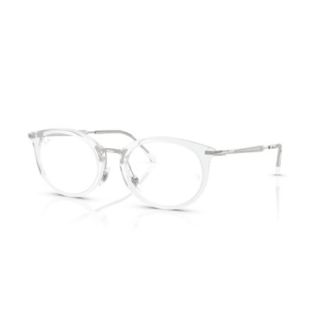 Ray-Ban RX 7255 (2001) - RB 7255 2001